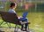Beispiel für Remote Work, Frau sitzt auf Bank bei Teich und arbeitet auf Laptop